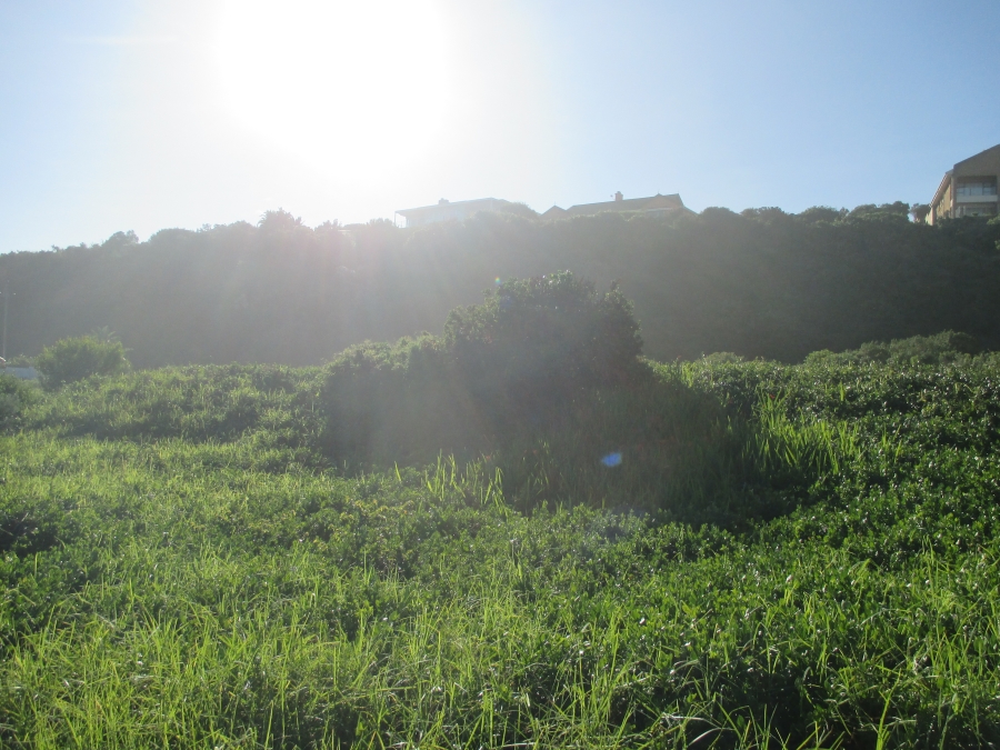 0 Bedroom Property for Sale in Outeniqua Strand Western Cape